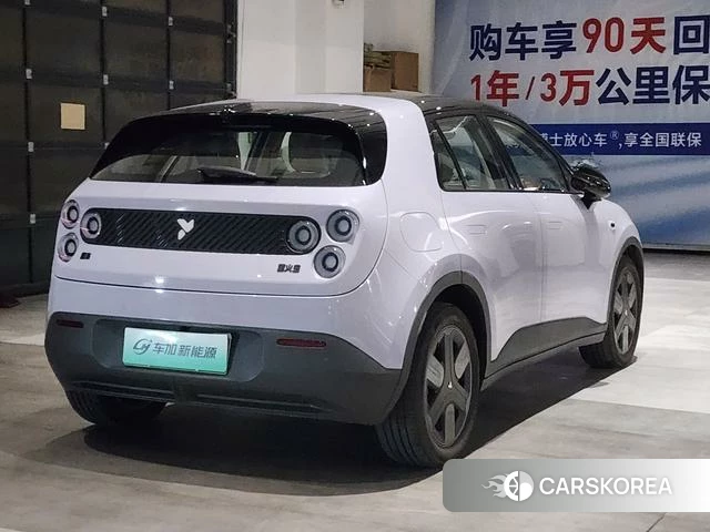 firefly firefly Unknown id 3983165 из Китая 7