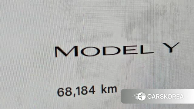 Tesla Model Y id 4408518 из Кореи 30
