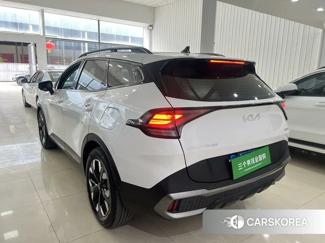 Kia Lion Platinum expands the world id 4262503 из Китая 9