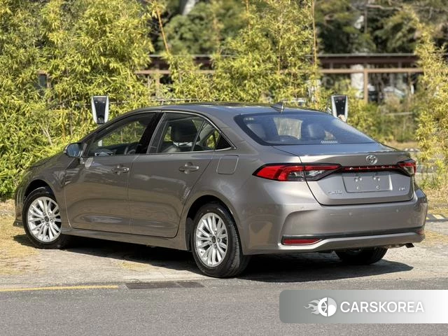 Toyota Asian lion id 4261265 из Китая 11