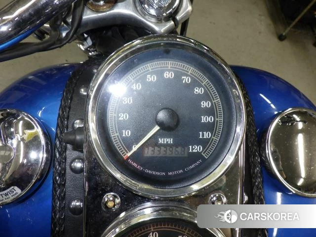 Harley-Davidson Dyna Low Rider FXDL1340 id 4247940 из Японии 21