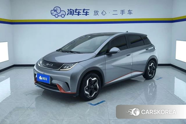 BYD dolphin id 4220686 из Китая 14