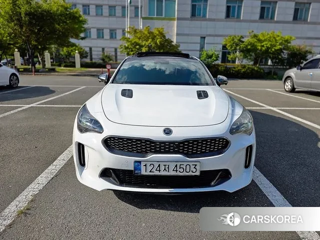 Kia Stinger id 3161881 из Кореи 17