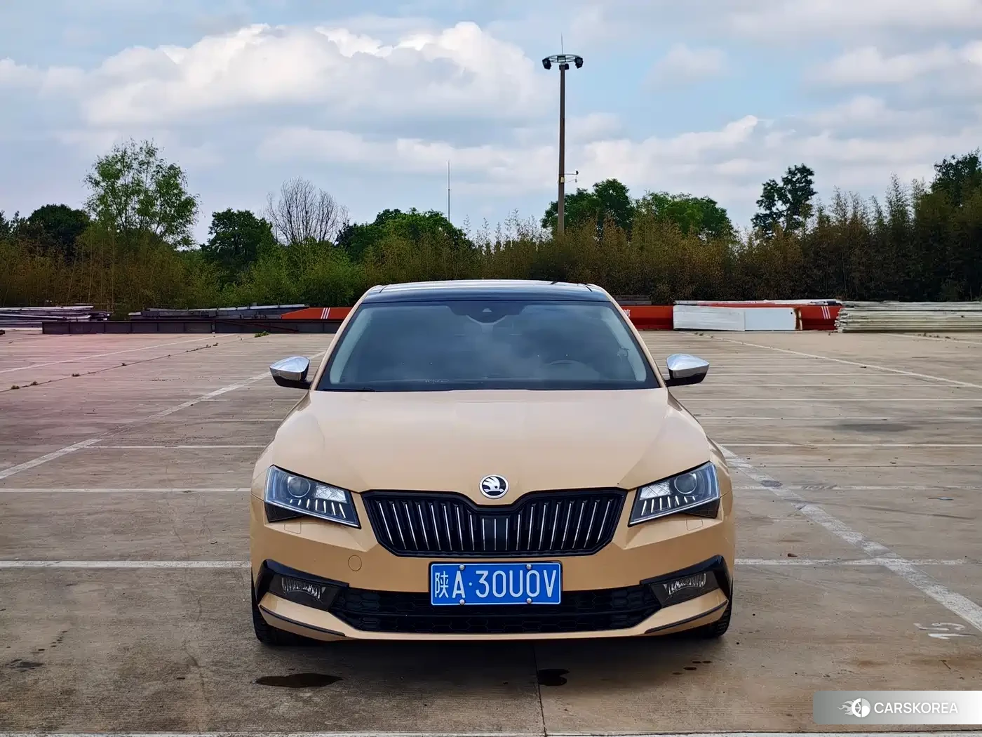 Skoda Speed pie id 4577748 из Китая 7