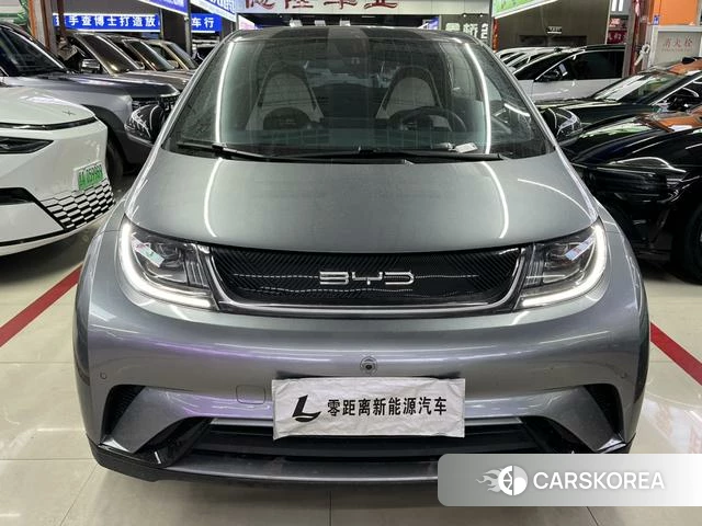 BYD dolphin id 4208734 из Китая 12