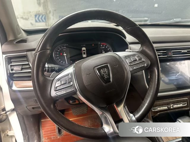 Roewe RX8 id 4216296 из Китая 10
