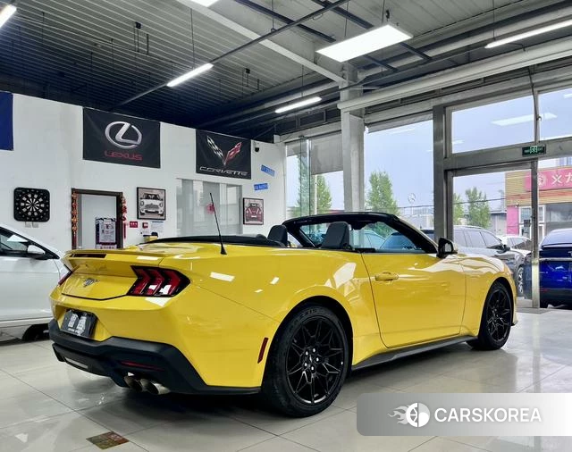 Ford Mustang id 4209132 из Китая 26