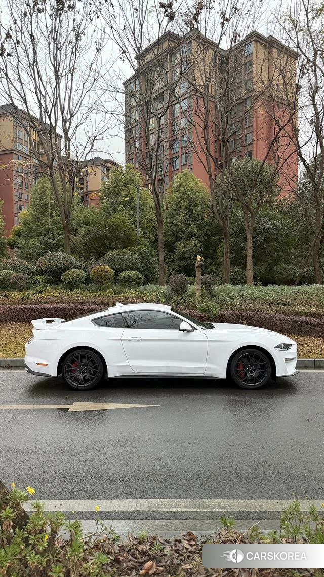 Ford Mustang id 4394172 из Китая 7