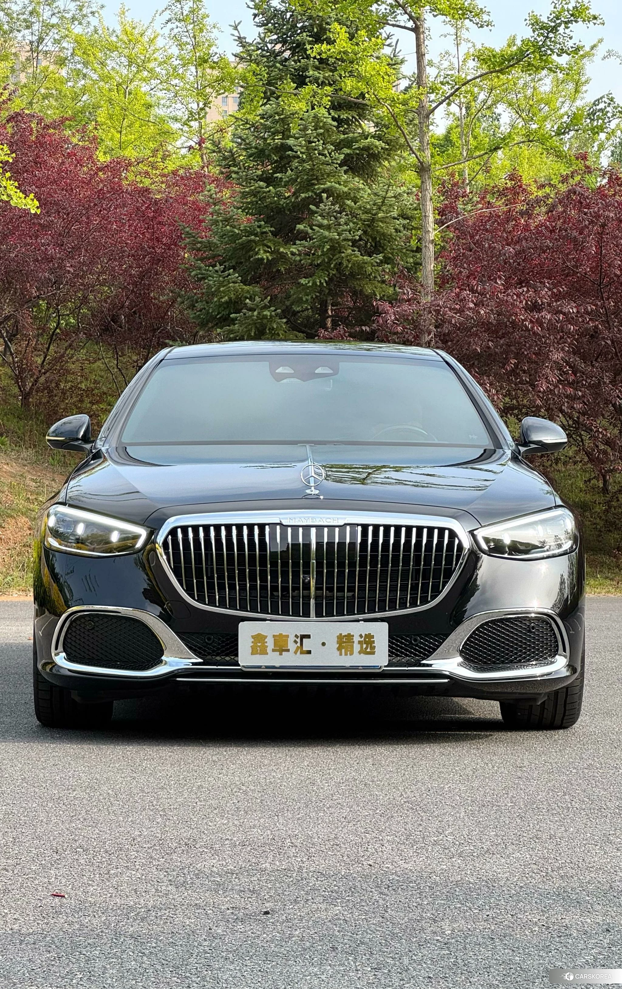 Mercedes-Benz Maybach S-class id 4454650 из Китая 15