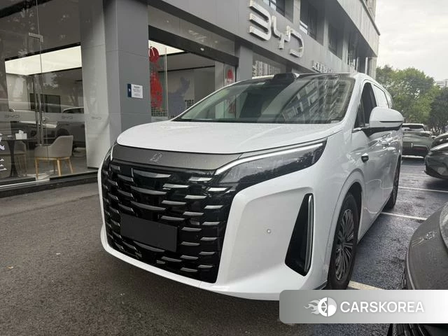 BYD summer id 4253707 из Китая 8