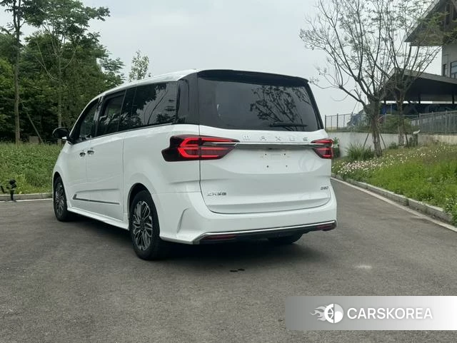 Chase G20 id 4228500 из Китая 10