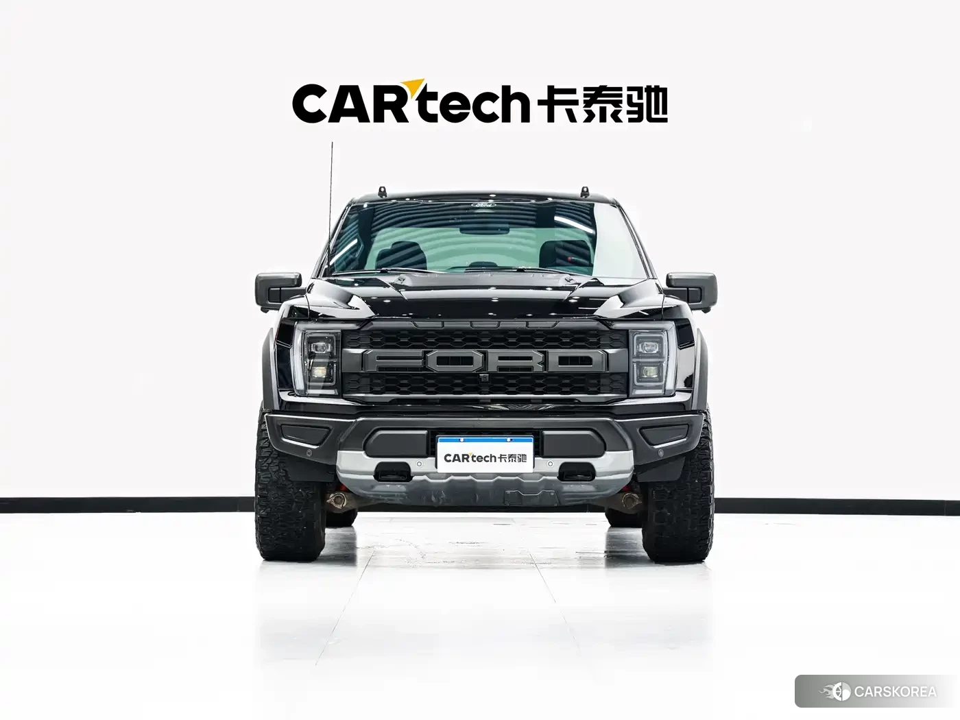 Ford F-150 Raptor id 4546157 из Китая 22