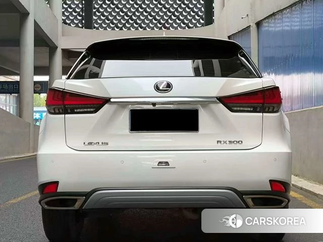 Lexus RX id 4213493 из Китая 13