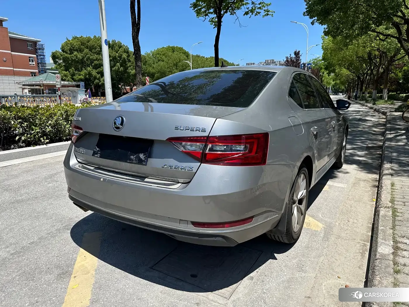 Skoda Speed pie id 4576643 из Китая 13