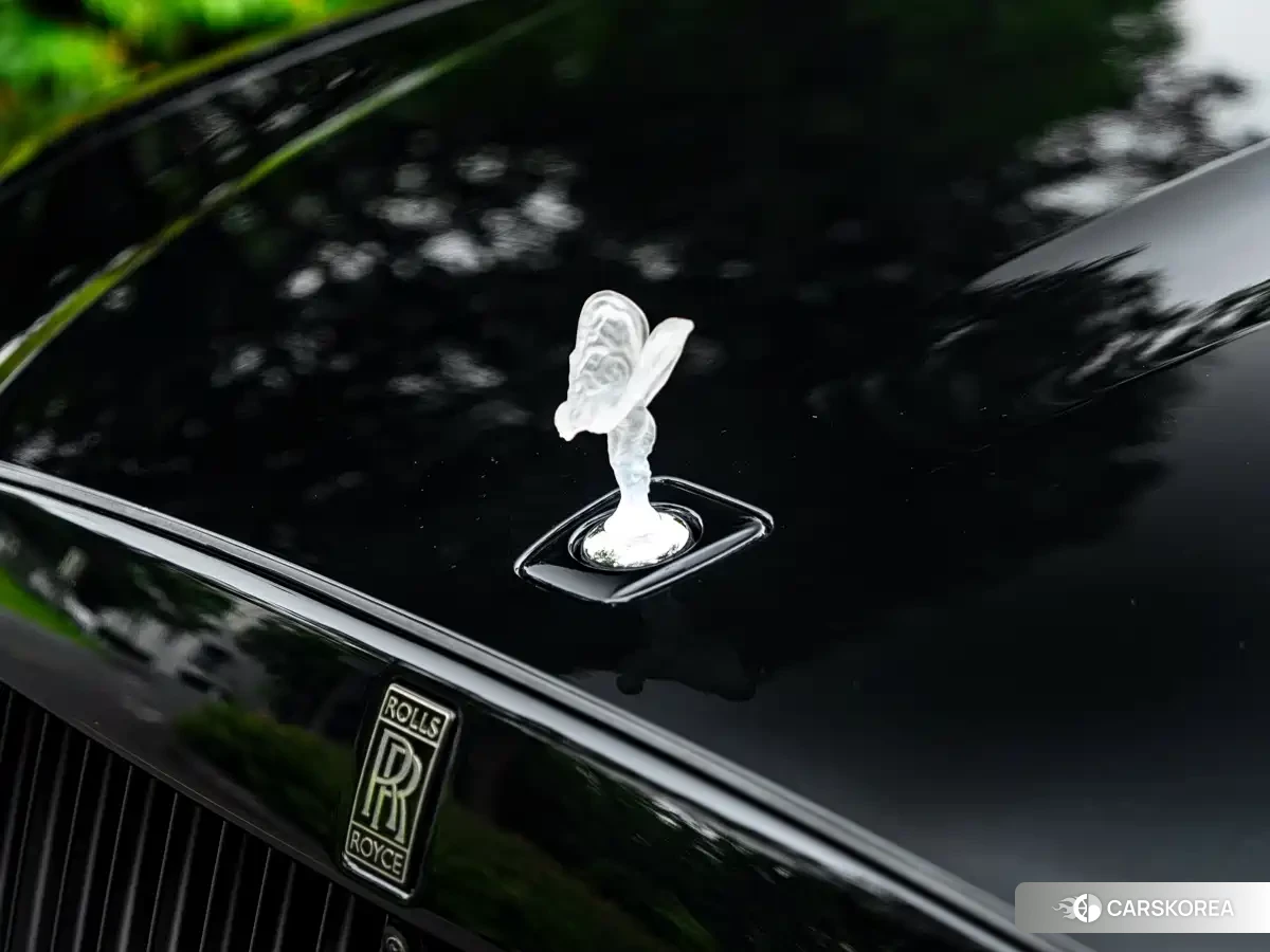 Rolls-Royce Gust id 4545647 из Китая 16