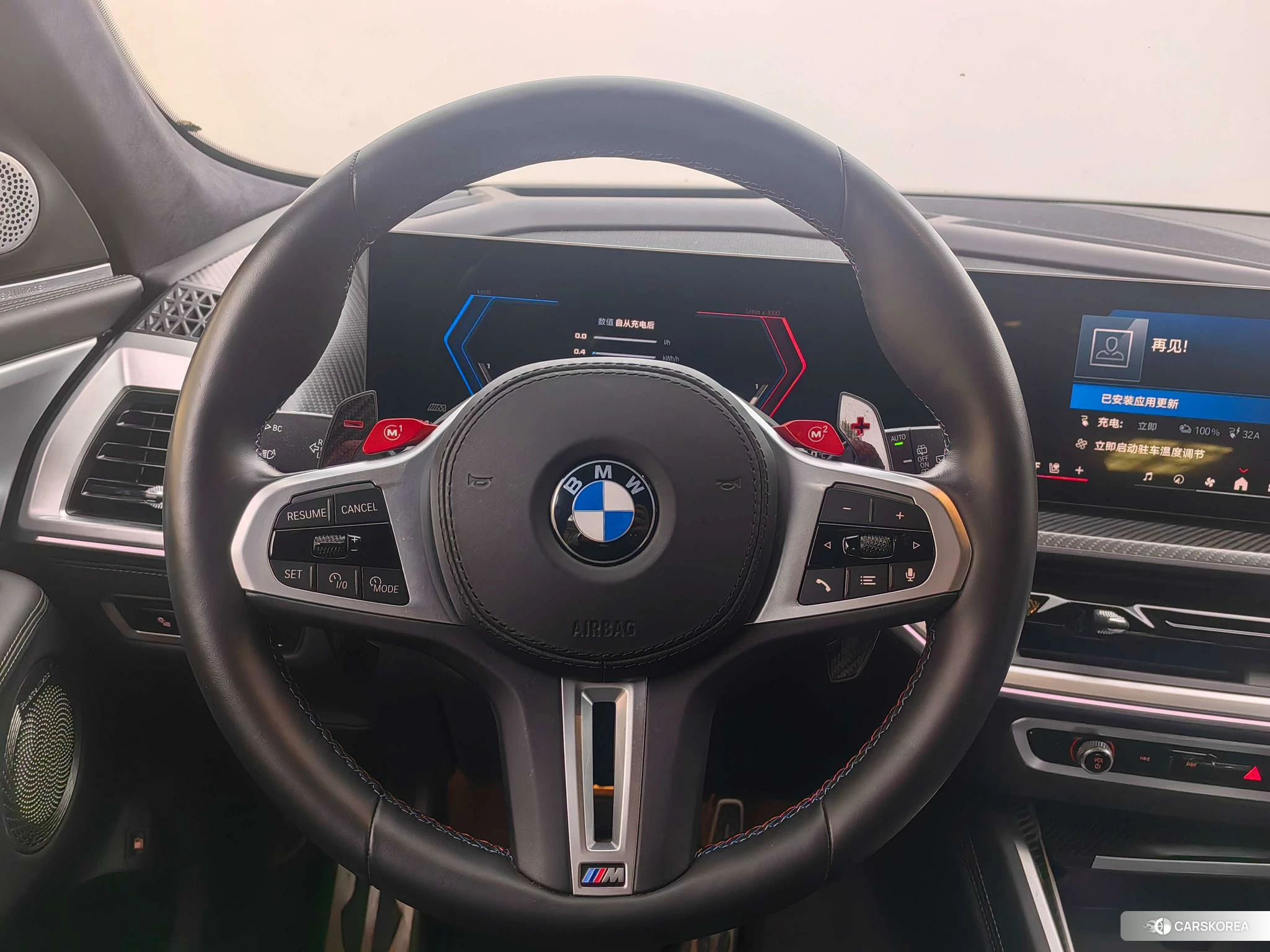 BMW XM id 4420161 из Китая 15