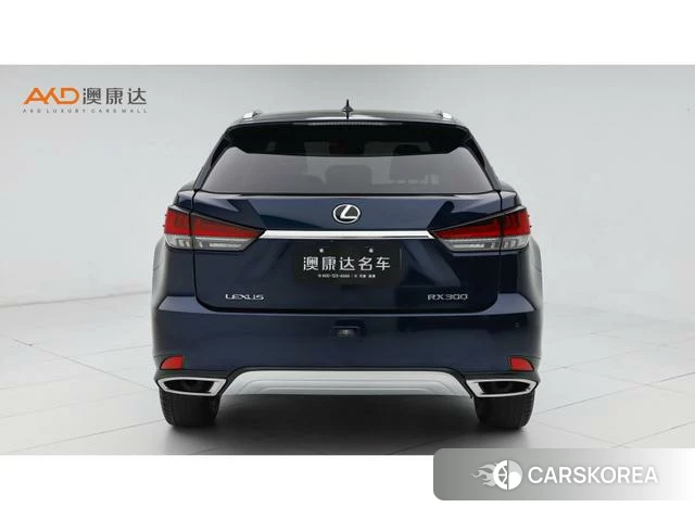 Lexus RX id 4273659 из Китая 7
