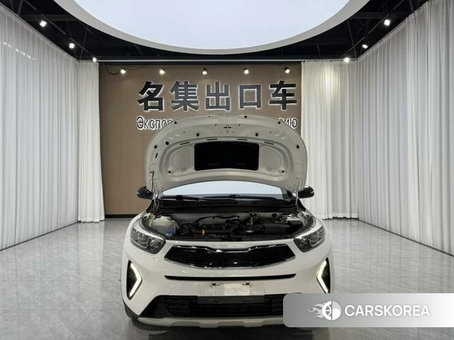 Kia Yi Ran id 4301654 из Китая 12