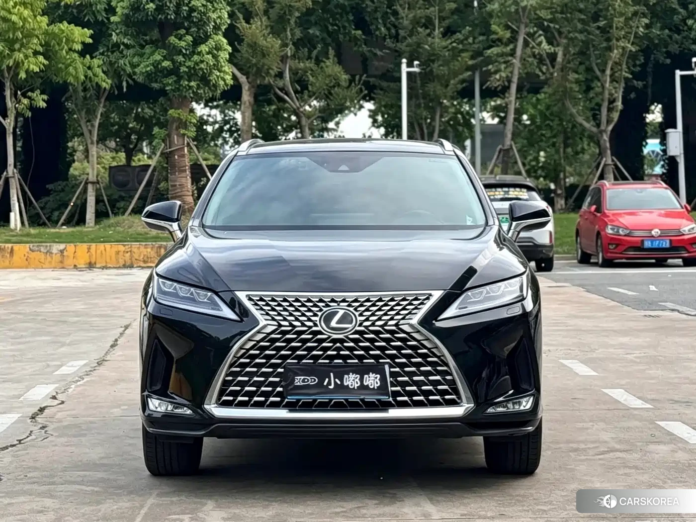 Lexus RX id 4599752 из Китая 7