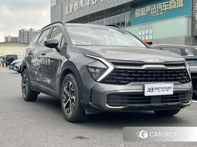 Kia Lion Platinum expands the world id 4264186 из Китая 18