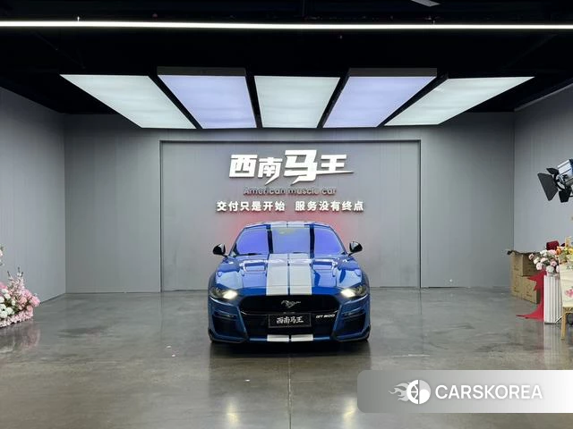Ford Mustang id 4380687 из Китая 7