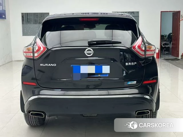 Nissan Loulan id 4263798 из Китая 8