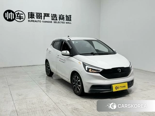 Jiangling Group New Energy Easy to EV3 id 3857810 из Китая 8