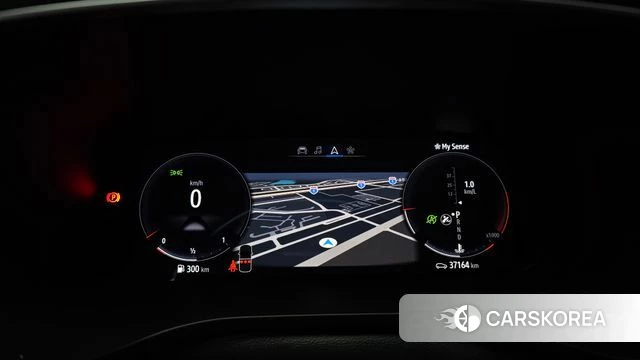 Renault Korea (Samsung) XM3 id 4917544 из Кореи 27