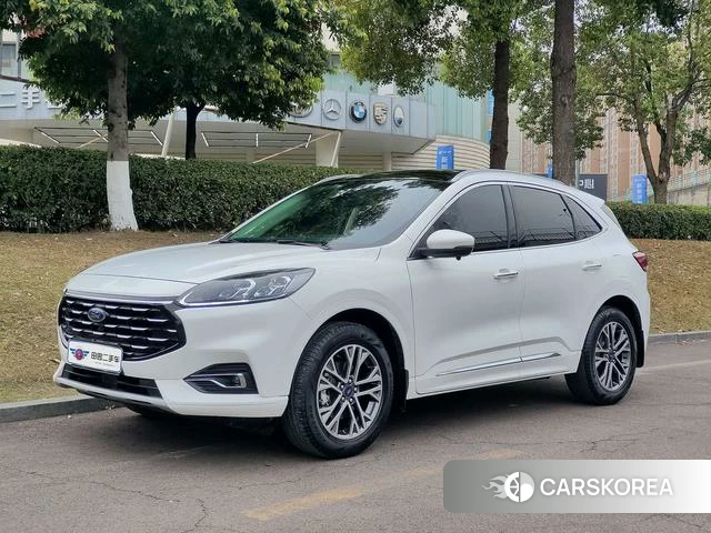 Ford Ruiji id 4387557 из Китая 7