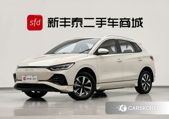 BYD e2 id 4198980 из Китая 24