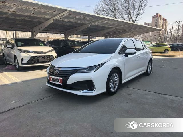 Toyota Asian lion id 4273390 из Китая 7