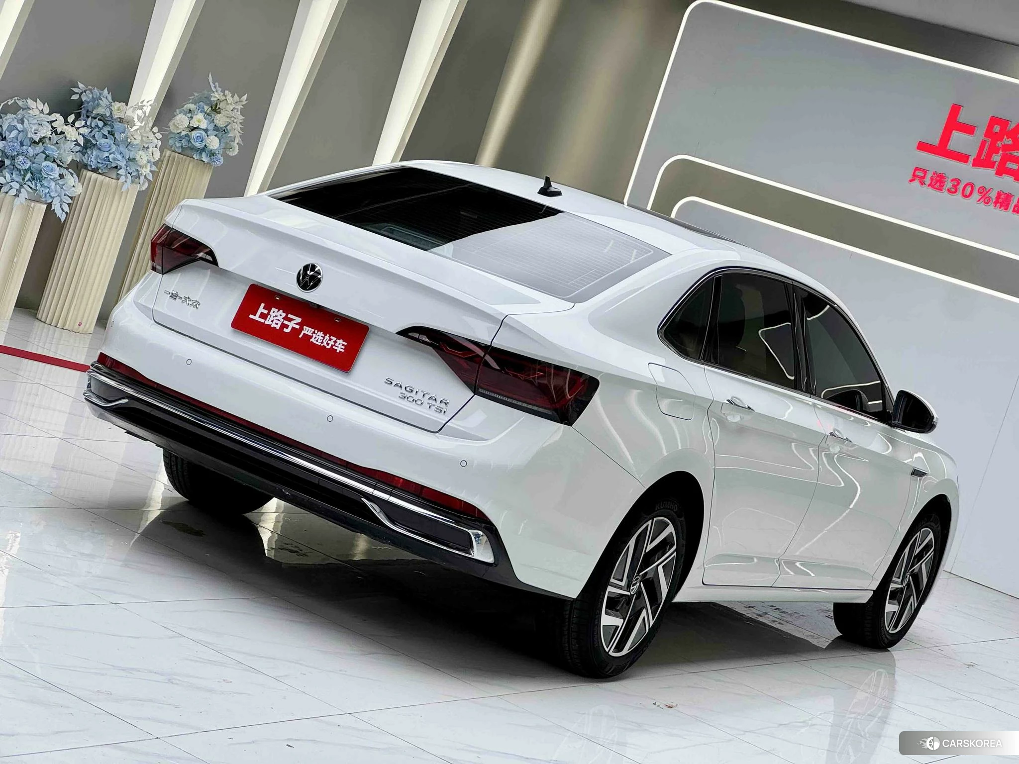 Volkswagen Sagitar id 4454183 из Китая 15
