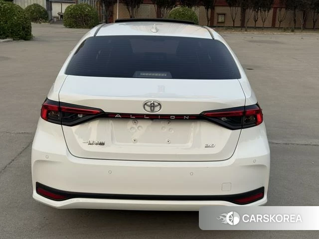 Toyota Asian lion id 4328917 из Китая 7