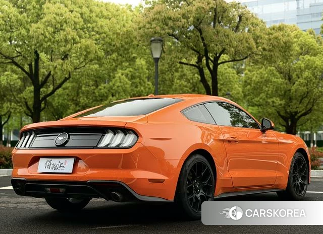 Ford Mustang id 4254582 из Китая 12