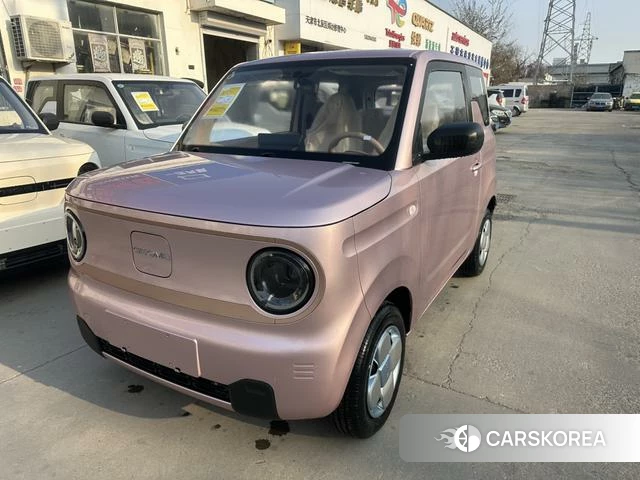 Geely Galaxy panda id 3908970 из Китая 8