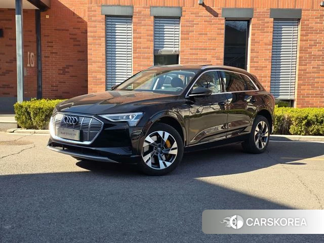 Audi e-tron (imported) id 4235052 из Китая 9