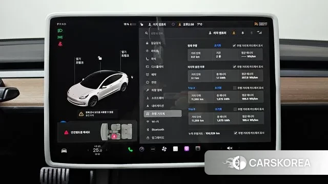 Tesla Model 3 id 3453433 из Кореи 18