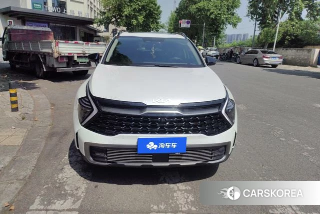 Kia Lion Platinum expands the world id 4262402 из Китая 15