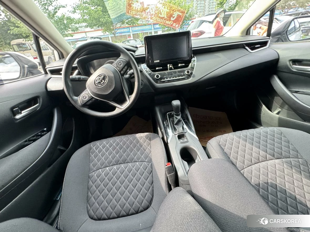 Toyota Asian lion id 4515267 из Китая 8