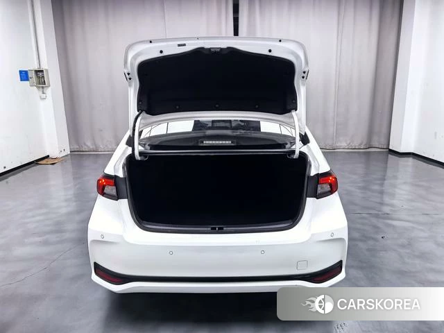 Toyota Asian lion id 4274425 из Китая 16