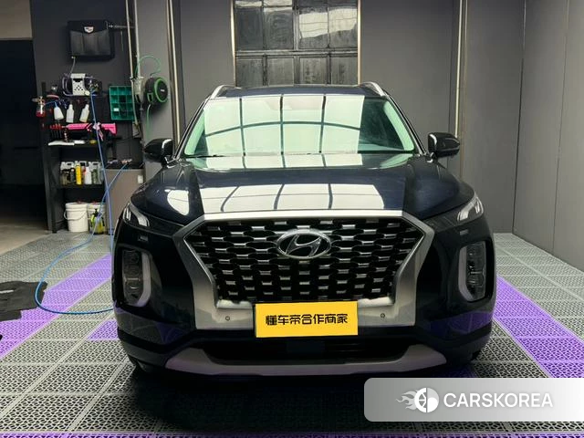 Hyundai Paristi id 4238263 из Китая 18