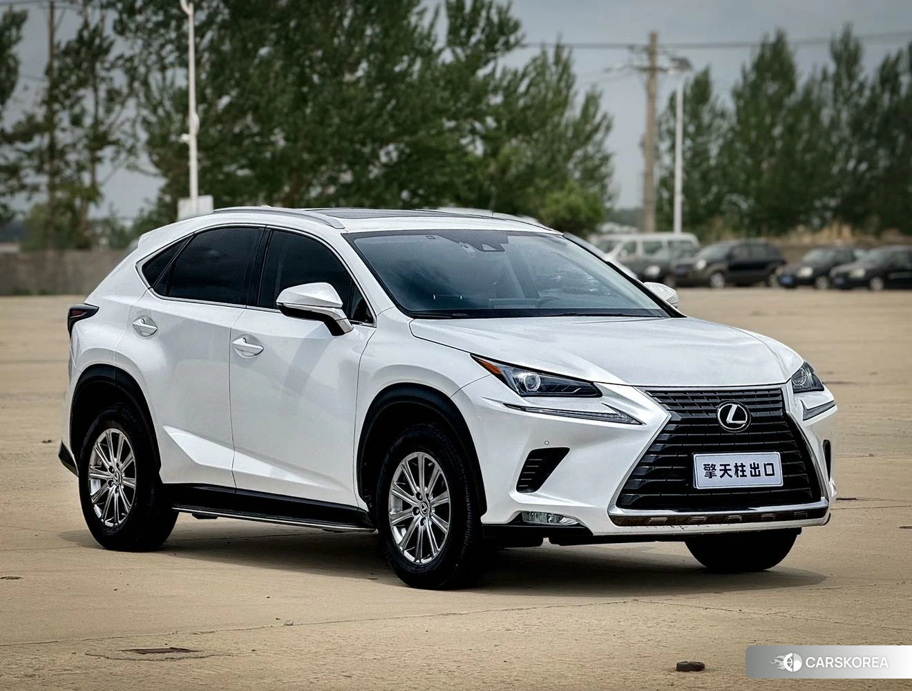 Lexus NX id 4420774 из Китая 23