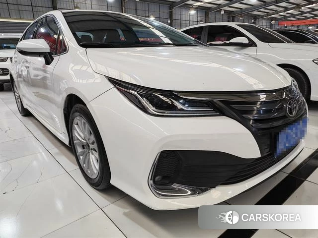 Toyota Asian lion id 4333300 из Китая 8