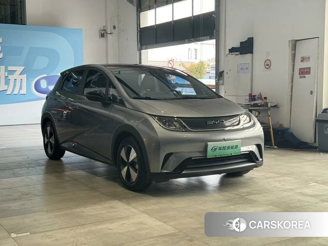 BYD dolphin id 3908748 из Китая 8