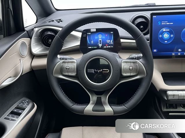 BYD dolphin id 4236414 из Китая 18