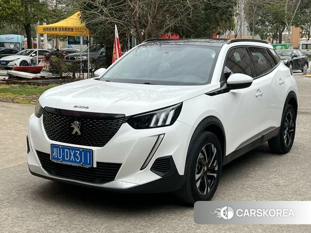 Peugeot 2008 id 3902079 из Китая 14