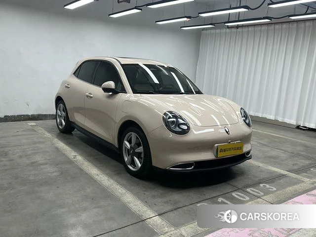 Euler Good cat id 3875987 из Китая 18