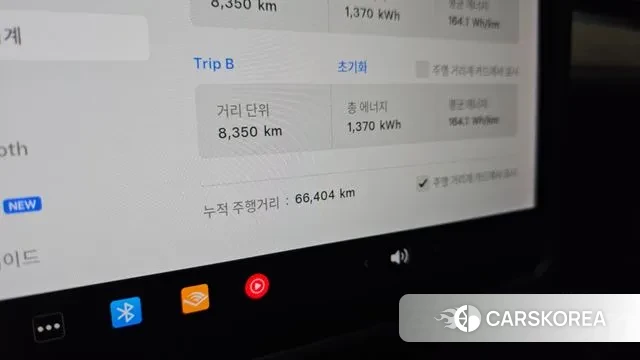 Tesla Model 3 id 3597286 из Кореи 18
