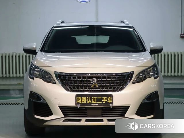 Peugeot 4008 id 4208999 из Китая 17
