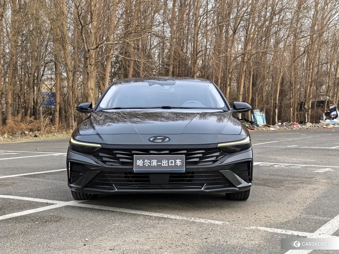 Hyundai Elantra id 4600494 из Китая 21